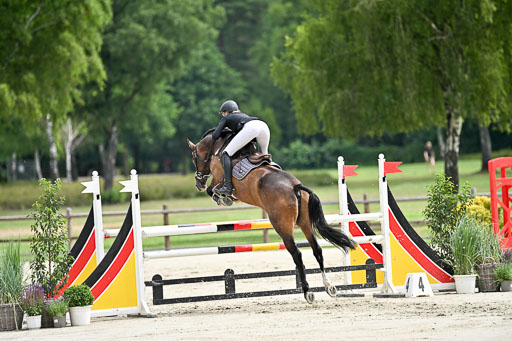  | 29062025 Springen CCI2 L _296 