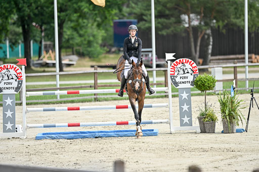  | 29062025 Springen CCI2 L _298 