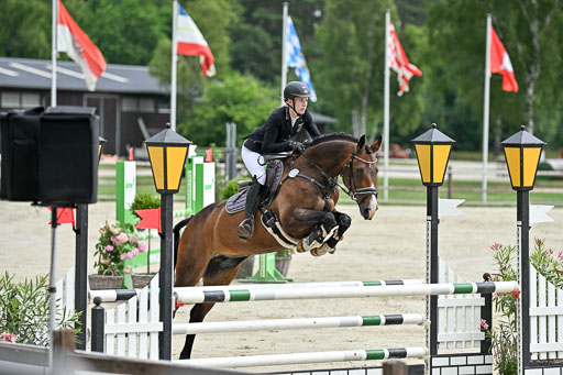  | 29062025 Springen CCI2 L _299 