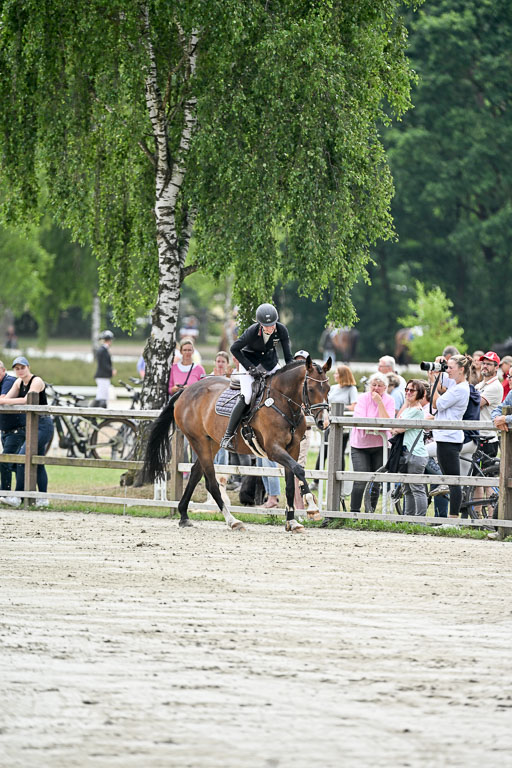  | 29062025 Springen CCI2 L _304 