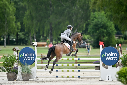  | 29062025 Springen CCI2 L _309 