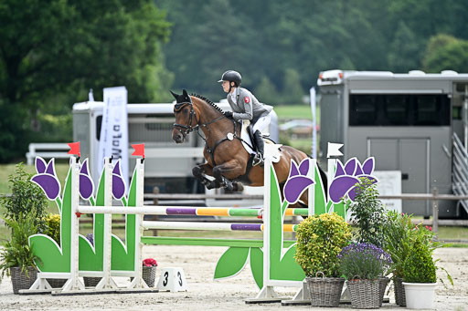  | 29062025 Springen CCI2 L _310 