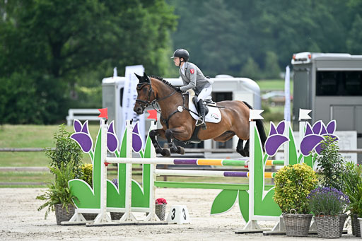  | 29062025 Springen CCI2 L _311 