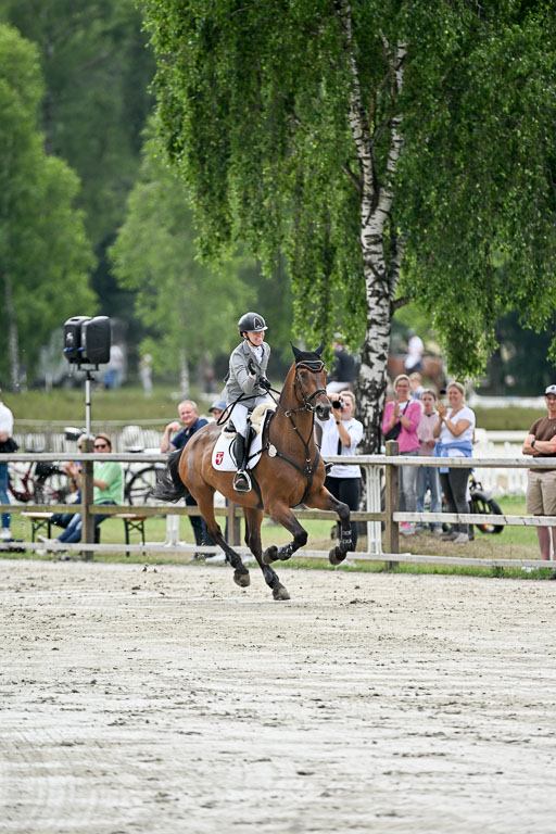  | 29062025 Springen CCI2 L _319 