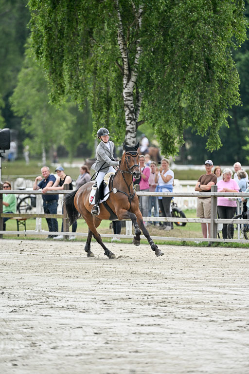  | 29062025 Springen CCI2 L _320 