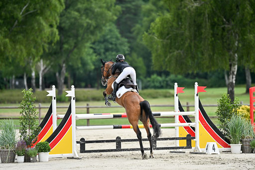  | 29062025 Springen CCI2 L _326 