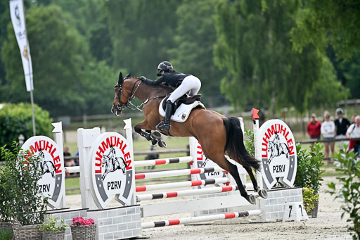  | 29062025 Springen CCI2 L _331 