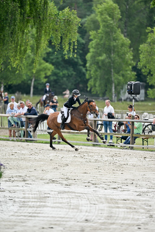  | 29062025 Springen CCI2 L _332 