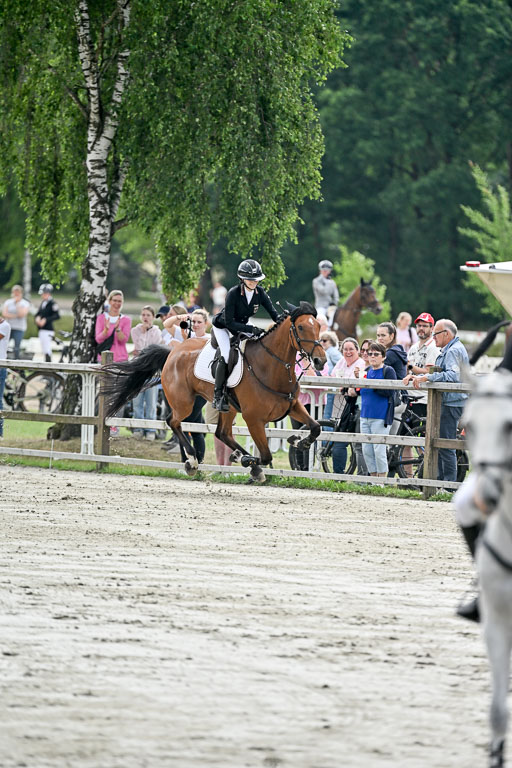  | 29062025 Springen CCI2 L _334 