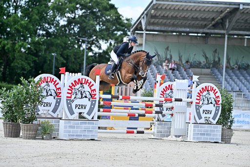  | 29062025 Springen CCI3 L _001 