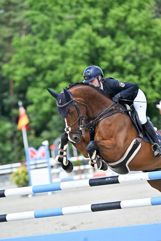  | 29062025 Springen CCI3 L _003 