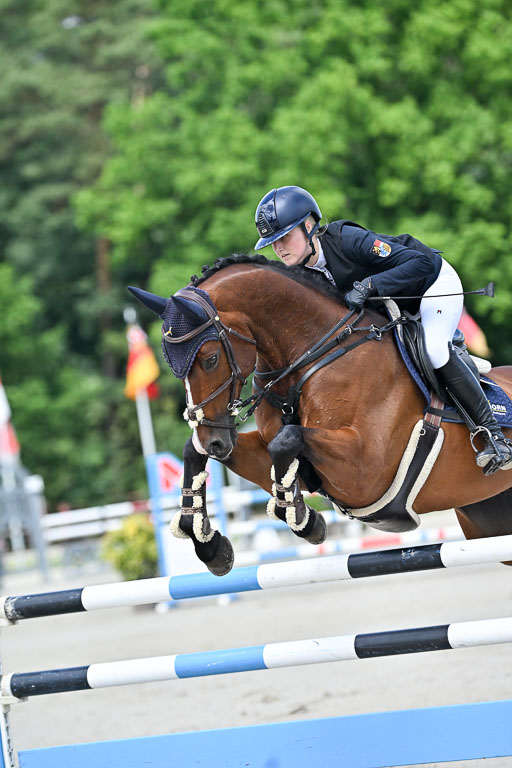  | 29062025 Springen CCI3 L _004 