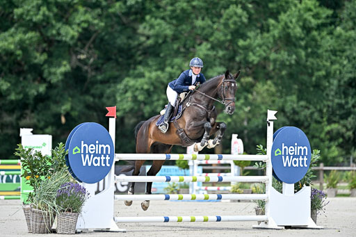  | 29062025 Springen CCI3 L _005 