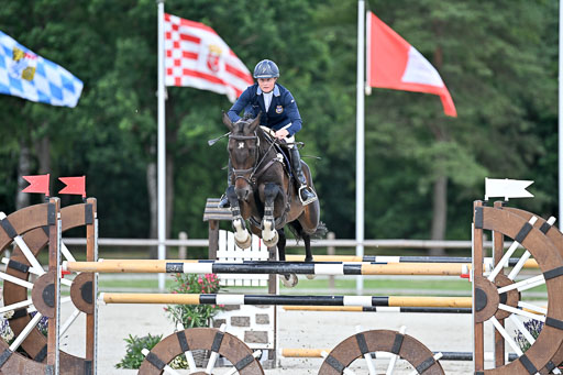  | 29062025 Springen CCI3 L _008 