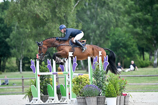  | 29062025 Springen CCI3 L _010 