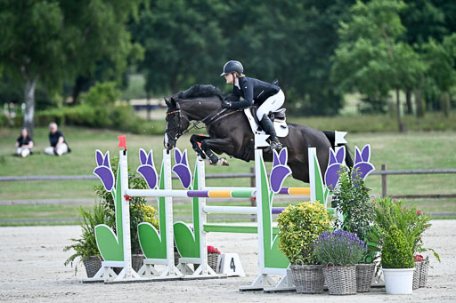  | 29062025 Springen CCI3 L _011 