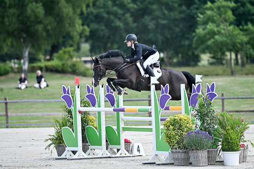  | 29062025 Springen CCI3 L _012 