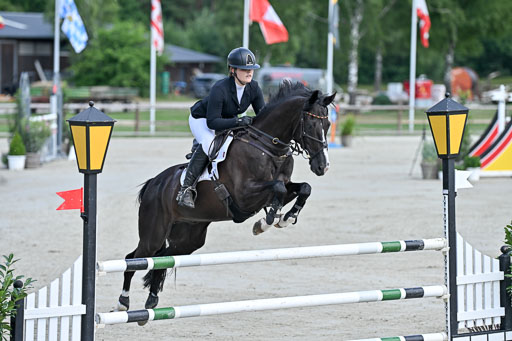  | 29062025 Springen CCI3 L _017 