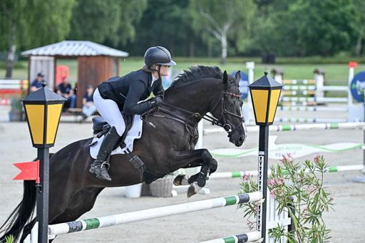  | 29062025 Springen CCI3 L _020 