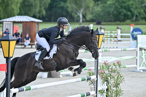  | 29062025 Springen CCI3 L _021 