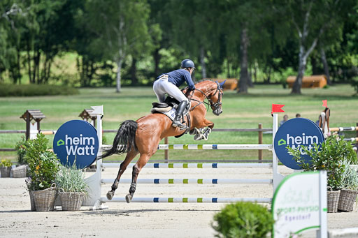  | 29062025 Springen CCI3 L _022 