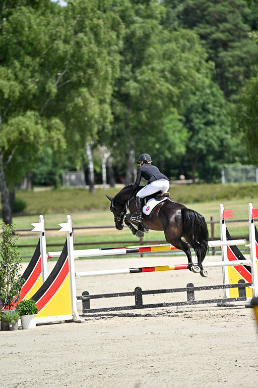  | 29062025 Springen CCI3 L _031 