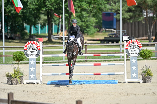  | 29062025 Springen CCI3 L _033 