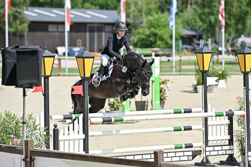  | 29062025 Springen CCI3 L _034 