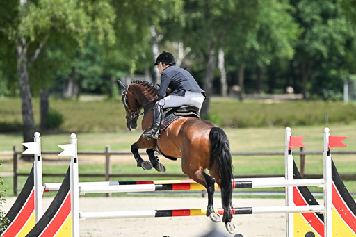  | 29062025 Springen CCI3 L _039 