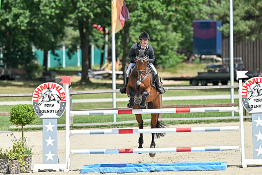  | 29062025 Springen CCI3 L _040 