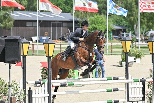  | 29062025 Springen CCI3 L _042 