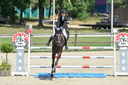  | 29062025 Springen CCI3 L _047 