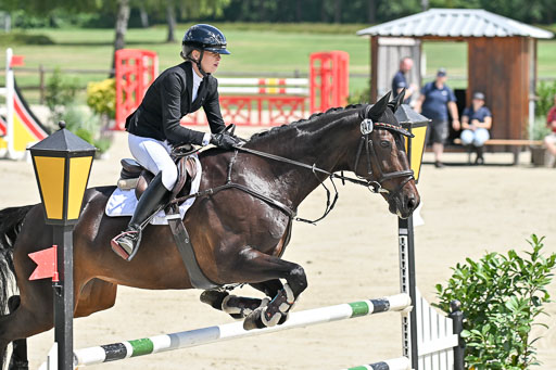  | 29062025 Springen CCI3 L _050 