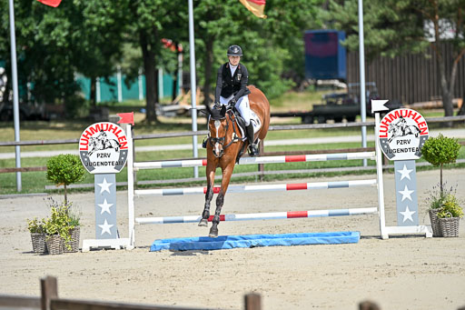  | 29062025 Springen CCI3 L _058 