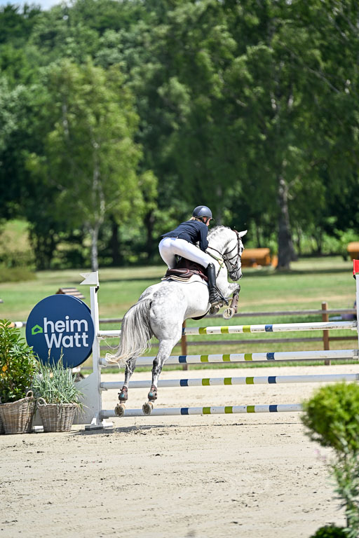  | 29062025 Springen CCI3 L _070 