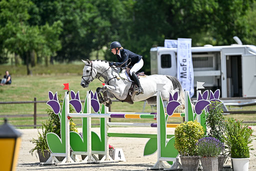  | 29062025 Springen CCI3 L _071 