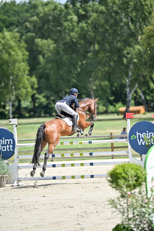  | 29062025 Springen CCI3 L _075 