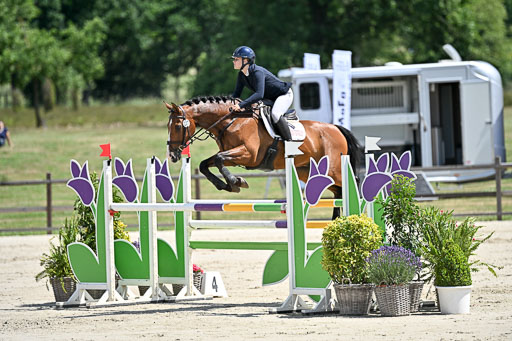  | 29062025 Springen CCI3 L _076 