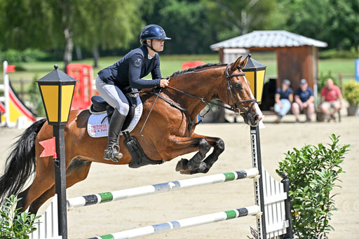  | 29062025 Springen CCI3 L _081 