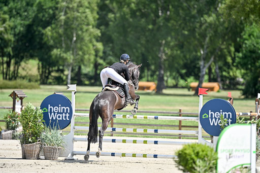  | 29062025 Springen CCI3 L _083 