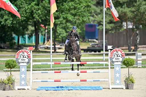  | 29062025 Springen CCI3 L _086 