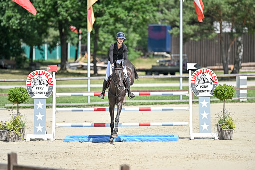  | 29062025 Springen CCI3 L _088 