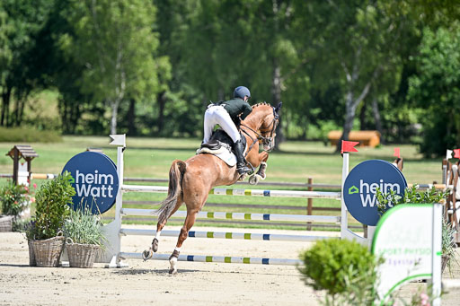  | 29062025 Springen CCI3 L _093 