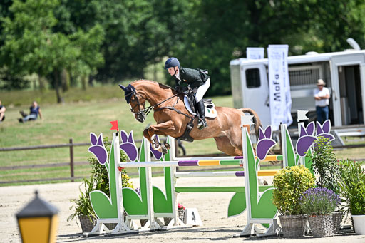  | 29062025 Springen CCI3 L _094 