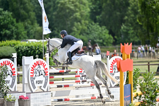  | 29062025 Springen CCI3 L _109 