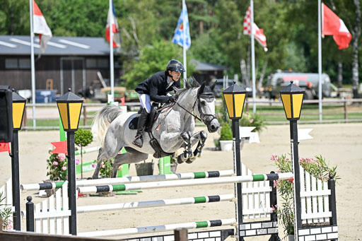  | 29062025 Springen CCI3 L _113 