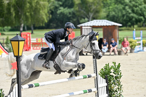  | 29062025 Springen CCI3 L _115 