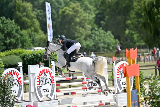  | 29062025 Springen CCI3 L _116 