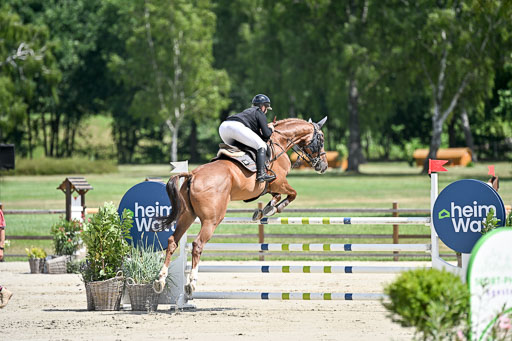  | 29062025 Springen CCI3 L _117 