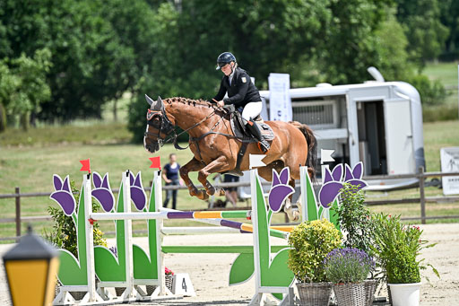  | 29062025 Springen CCI3 L _118 